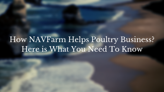 How NAVFarm Helps Poultry Business