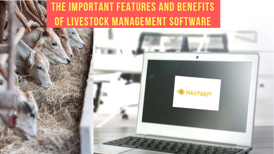 Livestock Management Software