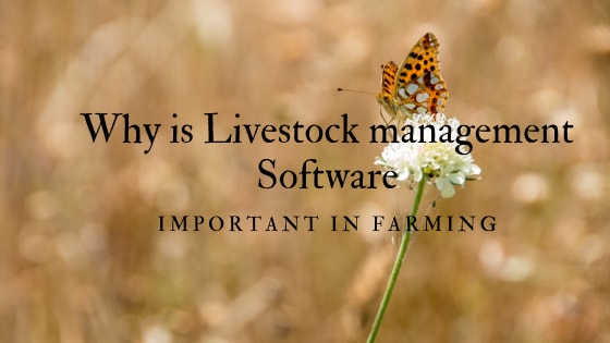 Livestock Management Software