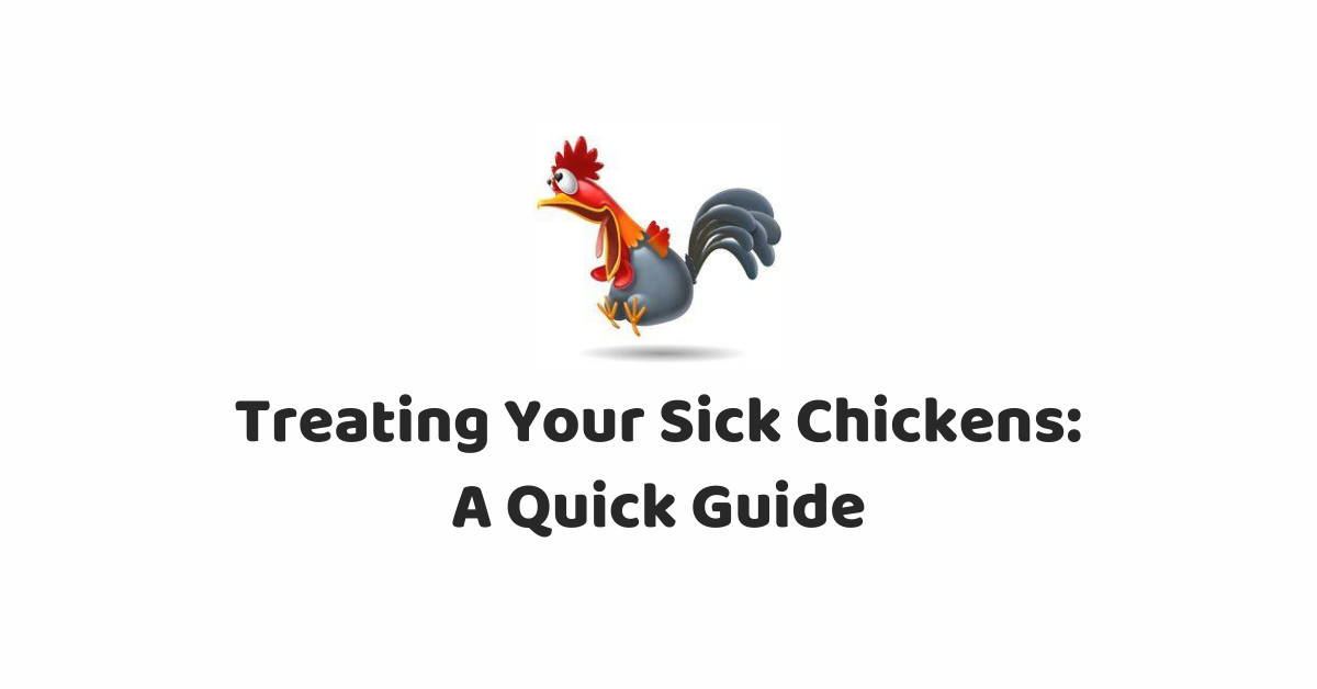 Quick Guide on How to Treat Your Sick Chickens Navfarm Blog