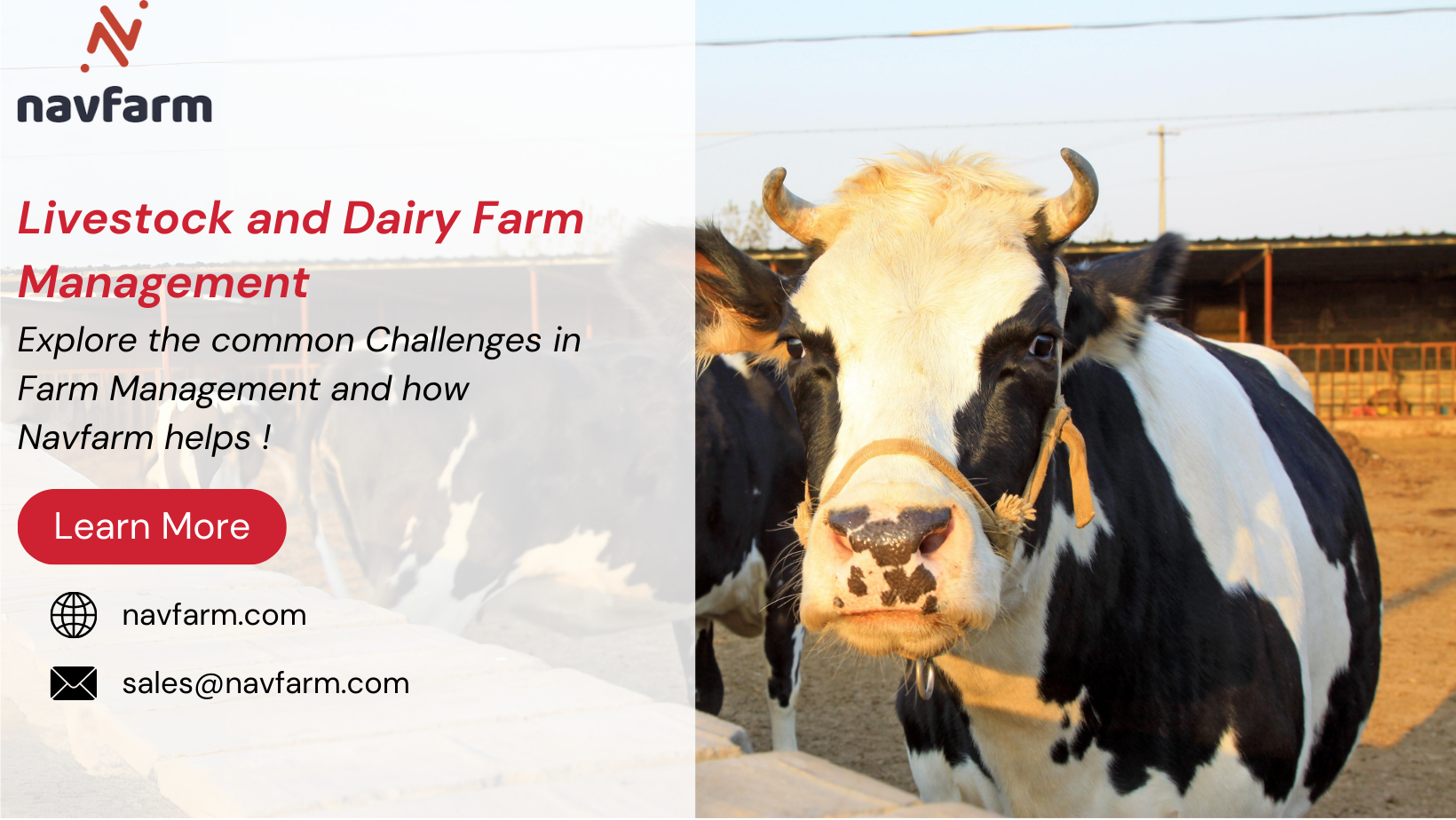 Livestock and Dairy Farm Management Software for Successful Dairy