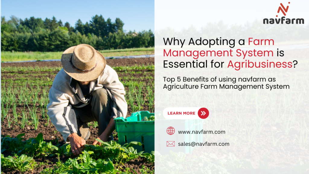 Why Adopting a Farm Management System is Essential for Agribusiness