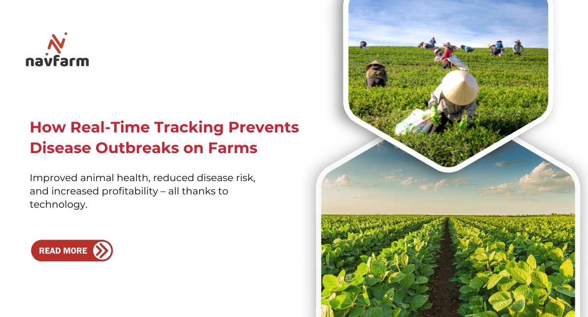 How Real-Time Tracking Prevents Disease Outbreaks on Farms - Navfarm Blog