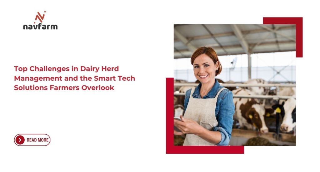 Top Challenges in Dairy Herd Management and the Smart Tech Solutions Farmers Overlook