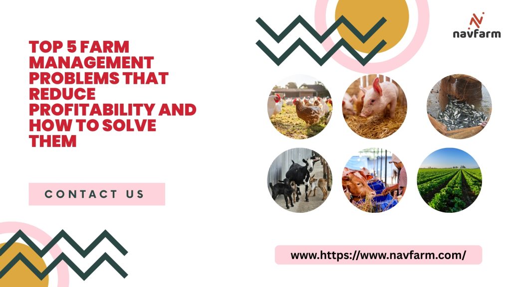Top 5 Farm Management Problems That Reduce Profitability And How to Solve Them