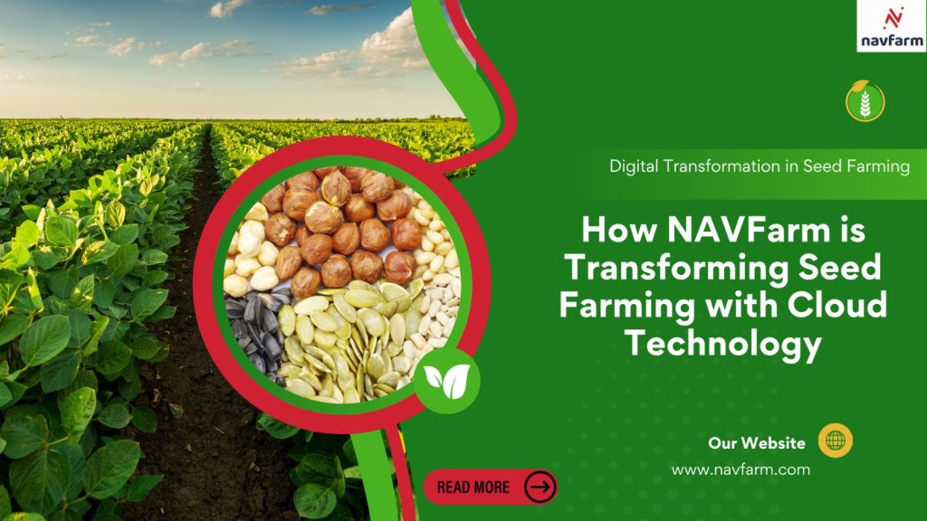 How NAVFarm is Transforming Seed Farming with Cloud Technology
