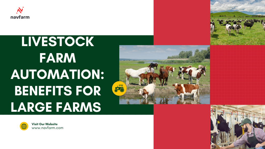 Livestock Farm Automation: Benefits for Large Farms