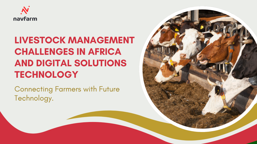 Livestock Management Challenges in Africa and Digital Solutions