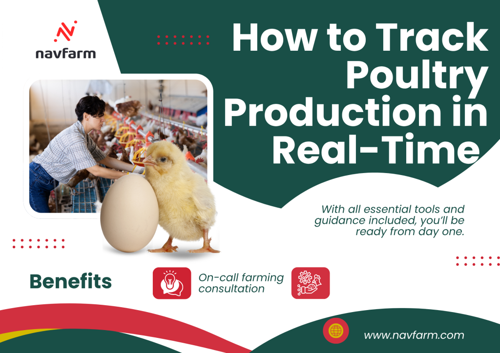How to Track Poultry Production in Real-Time