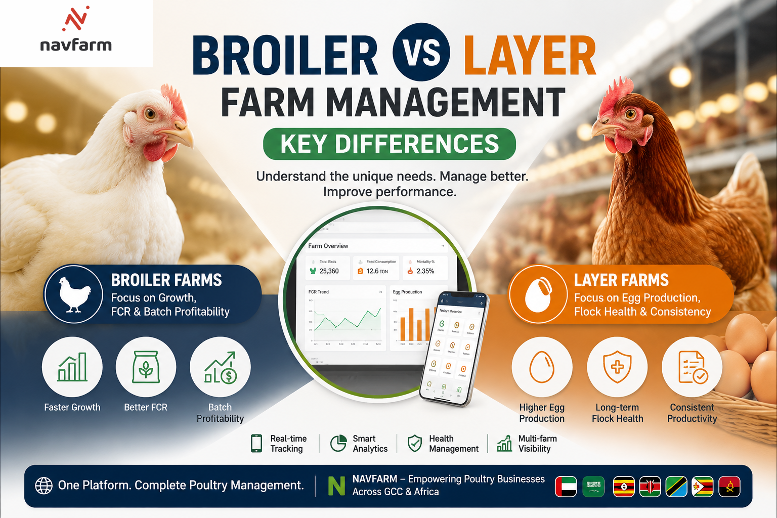 Broiler vs Layer Farm Management: Key Differences - Navfarm Blog