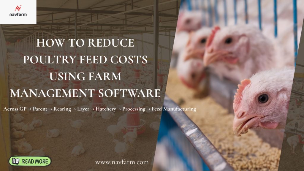 How to Reduce Poultry Feed Costs Using Farm Management Software