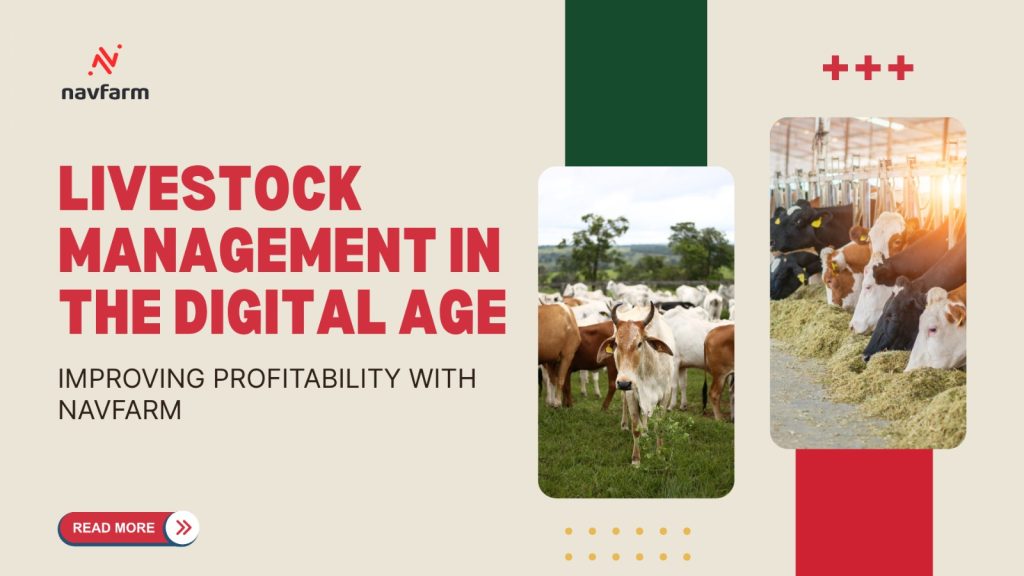 Livestock Management in the Digital Age