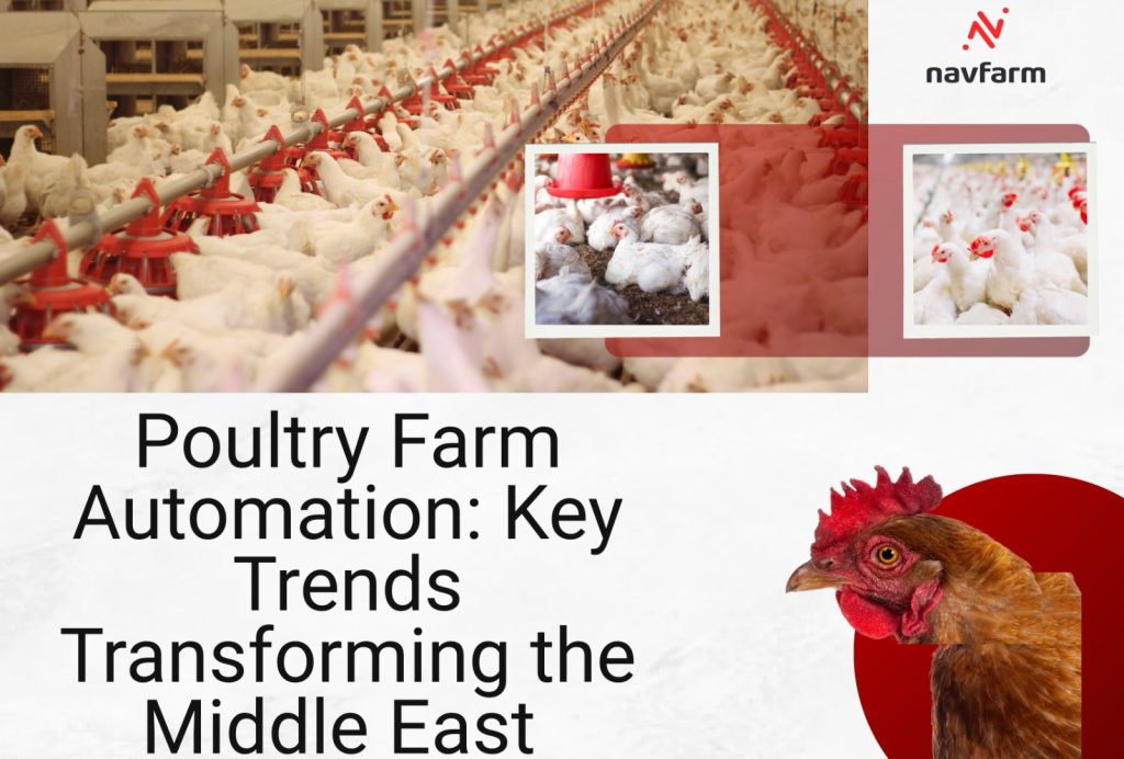 Poultry Farm Automation: Key Trends Transforming the Middle East