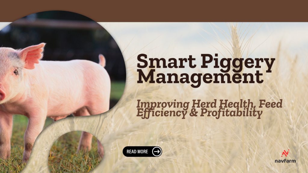Smart Piggery Management — Improving Herd Health, Feed Efficiency & Profitability