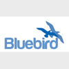 Blue Bird Holdings